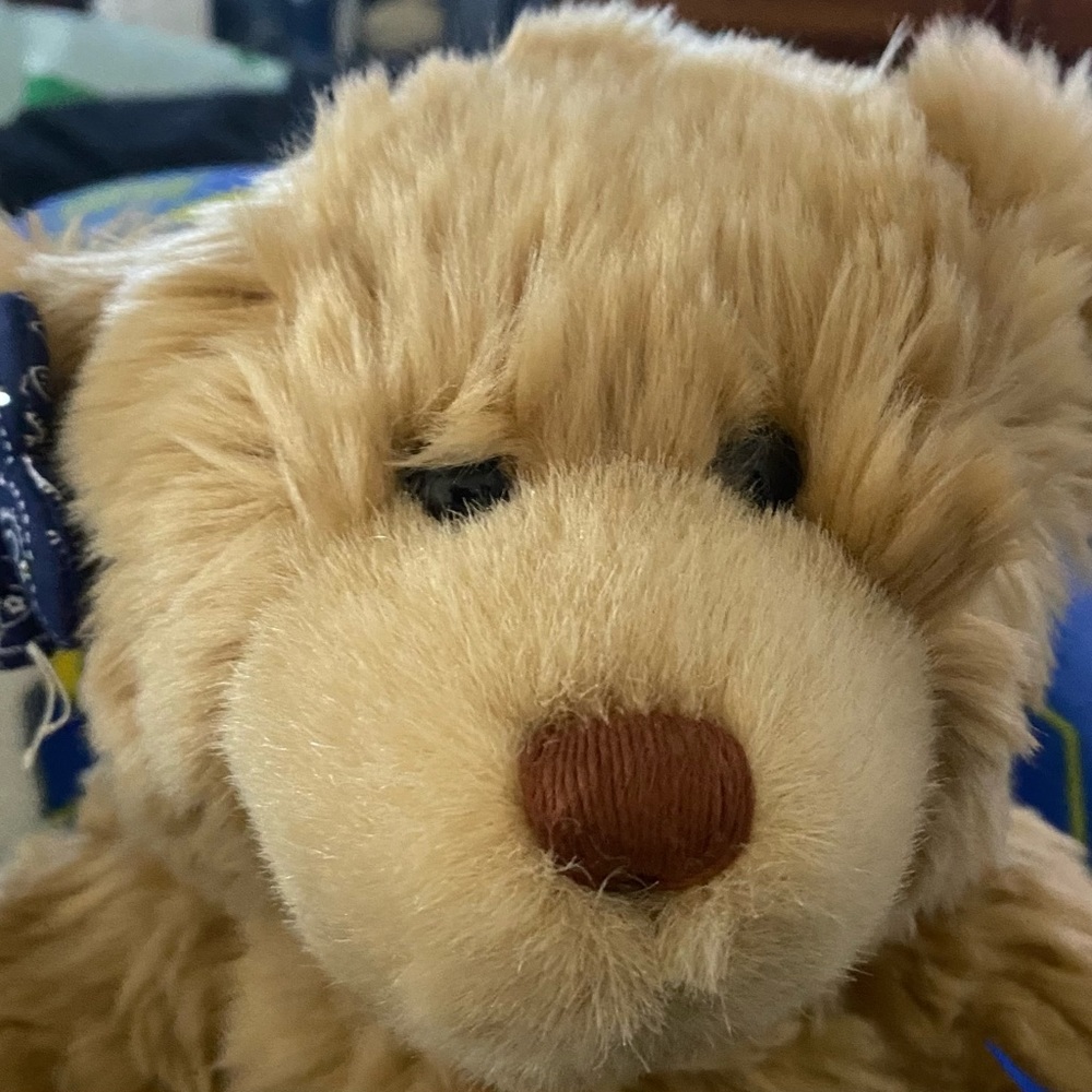 Like New! Build-A-Bear - Picture 4 of 5